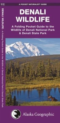 Denali Wildlife - Kavanagh, James