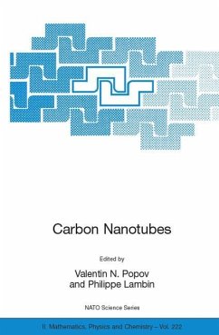 Carbon Nanotubes: From Basic Research to Nanotechnology - Popov, Valentin N. / Lambin, Philippe (eds.)