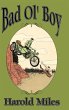 Bad Ol' Boy - Bild 1