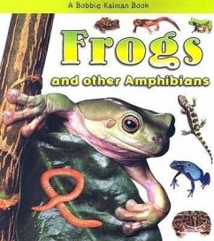 Frogs and Other Amphibians - Kalman, Bobbie