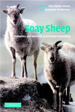 Cover Soay Sheep