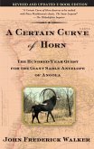 A Certain Curve of Horn