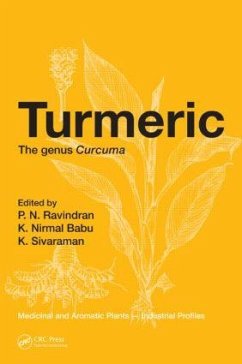 Turmeric - Babu, K. Nirmal / Ravindran, P. N. / Sivaraman, K. (eds.)