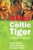 After the Celtic Tiger: Challenges Ahead