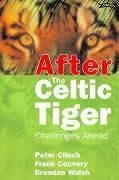 After the Celtic Tiger: Challenges Ahead - Clinch, Peter; Convery, Frank; Walsh, Brendan