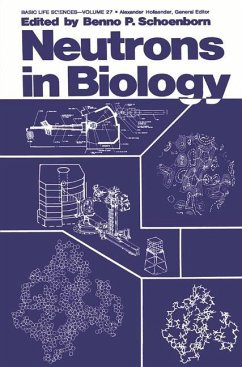 Neutrons in Biology - Schoenborn, Benno P.