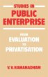 Studies in Public Enterprise - Bild 1