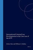 International Criminal Law Developments in the Case Law of the Icty