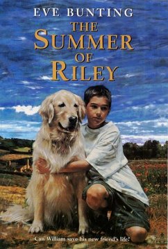 The Summer of Riley - Bunting, Eve