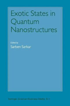 Exotic States in Quantum Nanostructures - Sarkar, Sarben (Hrsg.)