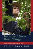 Because I Don't Have Wings: Stories of Mexican Immigrant Life