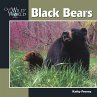 Black Bear - Bild 1