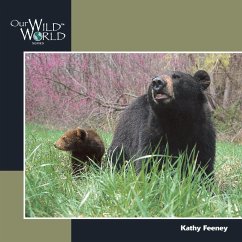 Black Bear - Feeney, Kathy