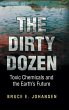 The Dirty Dozen - Bild 1