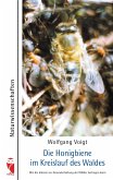 Die Honigbiene im Kreislauf des Waldes