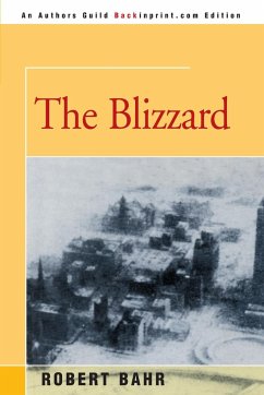 The Blizzard