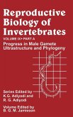 Reproductive Biology of Invertebrates, Progress in Male Gamete Ultrastructure and Phylogeny