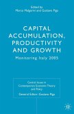 Capital Accumulation, Productivity and Growth