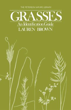 Grasses - Brown, Lauren