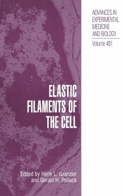 Cover Elastic Filaments of the Cell