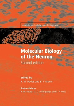 Molecular Biology of the Neuron - Davies, Wayne / Morris, Brian (eds.)