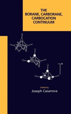 The Borane, Carborane, Carbocation Continuum - Casanova, Joseph (Hrsg.)