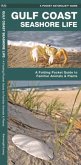 Gulf Coast Seashore Life: An Introduction to Familiar Plants and Animals