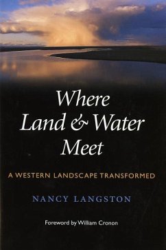 Where Land and Water Meet - Langston, Nancy