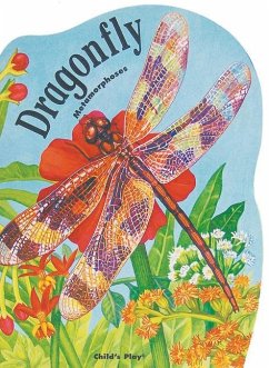 Metamorphoses: Giant Dragonfly - Baker, Sue