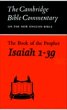 Book of the Prophet Isaiah - Bild 1