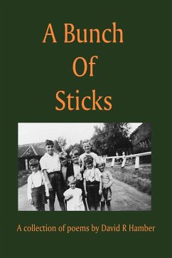 A Bunch of Sticks - Hamber, David R.