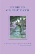 Pebbles on the Path - Bild 1