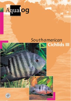 Southamerican Cichlids. Tl.3 - Glaser, Ulrich sr; Schäfer, Frank; Glaser, Wolfgang; Glaser, Ulrich sen.