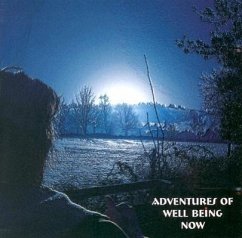 Adventures of Well Being Now - Kemp, Nick