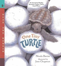 One Tiny Turtle - Davies, Nicola