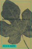 Under the Man Fig