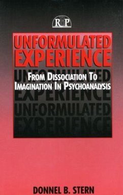 Unformulated Experience - Stern, Donnel B