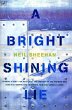 A Bright Shining Lie - Bild 1