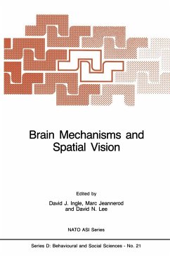 Brain Mechanisms and Spatial Vision - Ingle, D.J. / Jeannerod, Marc / Lee, David (Hgg.)