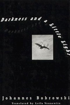 Darkness and a Little Light: Stories - Bobrowski, Johannes