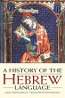 A History of the Hebrew Language - Bild 1