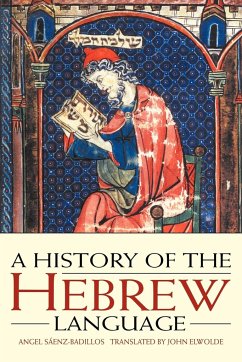 A History of the Hebrew Language - Saenz-Badillos, Angel (Universidad Complutense, Madrid)