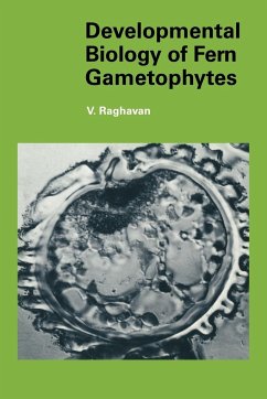 Developmental Biology of Fern Gametophytes - Raghavan, Valayamghat; Raghavan, V.