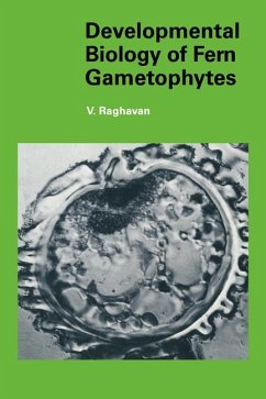 Cover Developmental Biology of Fern Gametophytes
