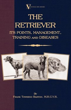 The Retriever