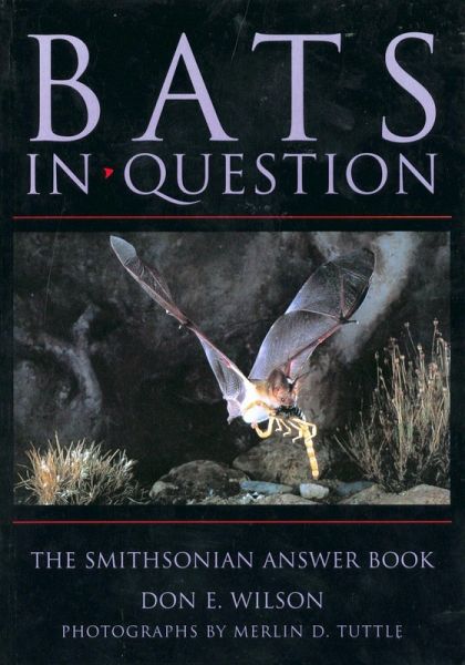 Bats in Question Bats in Question
