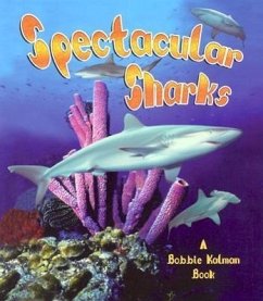 Spectacular Sharks - Kalman, Bobbie
