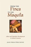 From the Finca to the Maquila