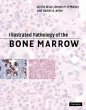 Illustrated Pathology of the Bone Marrow - Bild 1