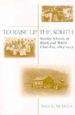 To Raise Up the South - McMillen, Sally G